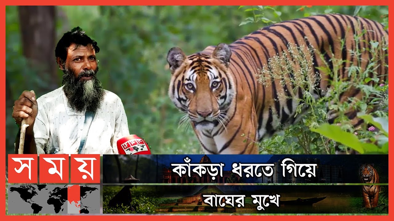 প্রাণে বেঁচে ফিরেছেন বাগেরহাটের মো. ওমর মোল্লা